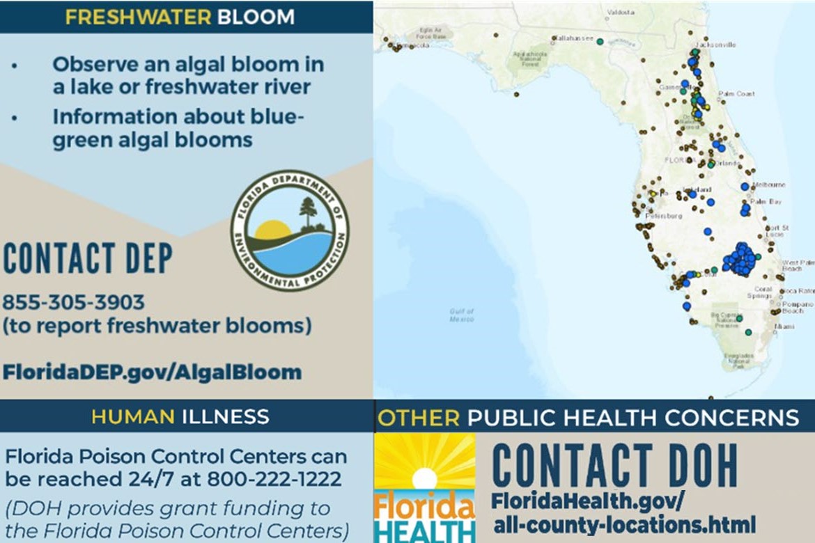 Algal bloom dashboard. Contact DEP 850-305-3903, or floridadep.gov/algalbloom.