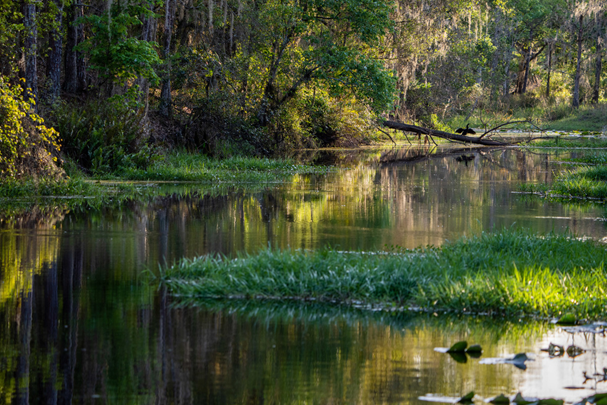 Osceola County winding river